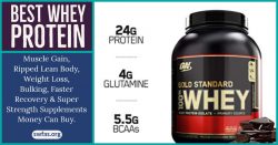 Best Whey Protein