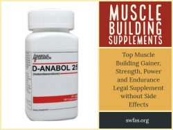 Muscle Building Supplements