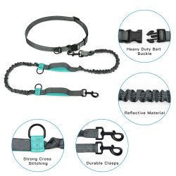 Hands free dog leash dual handle bungee dog leash for running
