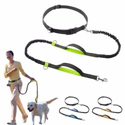 Hands free dog leash dual handle bungee dog leash for running