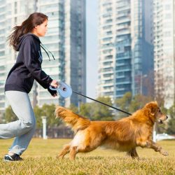 Manufacturer wholesale dog walking leash durable retractable dog leash