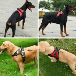 Factory wholesale nylon dog harness adjustable dog vest harness