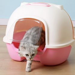 Hooded Cat Litter Pan Kit Cat Litter Box with Scoop