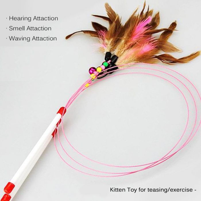 cat exercise toy cat charmer wand cat teaser wand