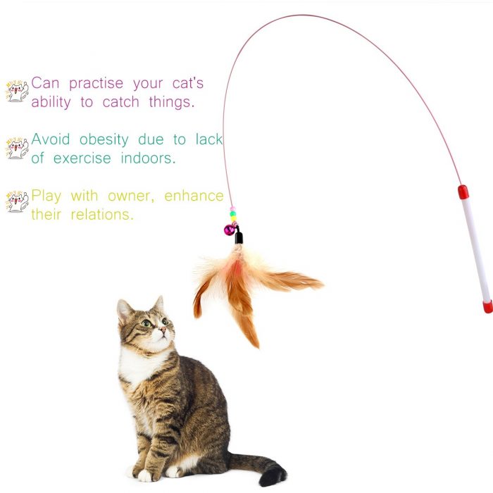 Cat interactive play toy cat exercise toy cat charmer wand cat teaser