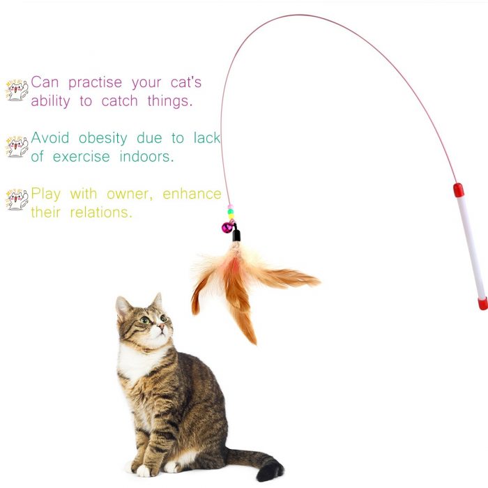 Cat interactive play toy cat exercise toy cat charmer wand cat teaser wand