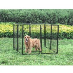 Large outdoor heavy duty metal dog kennel wholesale