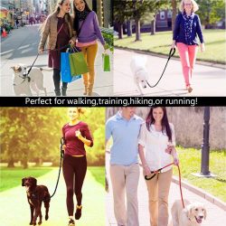 Strong Durable Dog Leash With Comfortable Padded Handle Reflective Dog Leash
