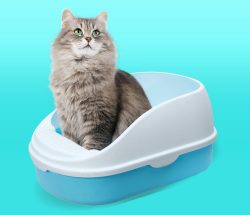Large Cat Litter Box with Lid Hooded Cat Litter Pan Hooded Litter Box with Scoop