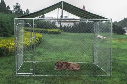 large outdoor metal chain link dog kennel manufacturer