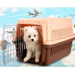 Manufacturer wholesale pet carrier airline approved dog carrier