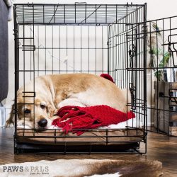 Leak-Proof Plastic Pan Metal Folding Pets Dog Crate Dog Cage