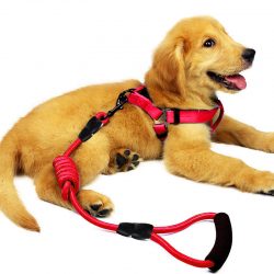Manufacturer wholesale nylon dog leash and collar dog leash dog harness