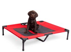 Outdoor travel camping cot foldable raised dog bed manufacturer wholesale