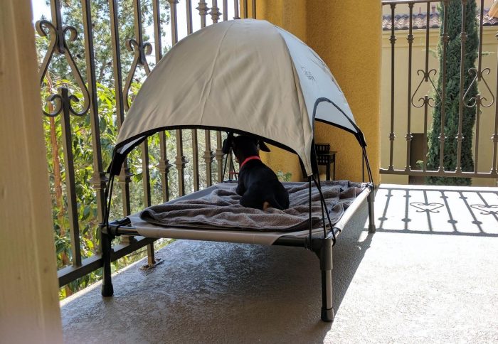 Waterproof Orthopedic Elevated Pet Bed Dog Camping Cot with Canopy Shade