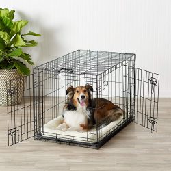 Single Door and Double Door Metal Dog Crates Dog Kennel Cage