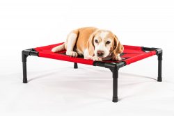 Outdoor travel camping cot foldable raised dog bed manufacturer wholesale