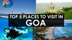 things to do in goa