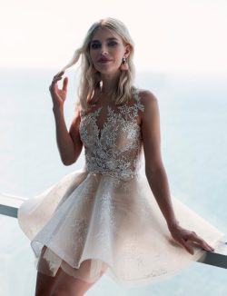 Elegante Brautkleid Kurz | A Linie Hochzeitskleid mit Spitz
