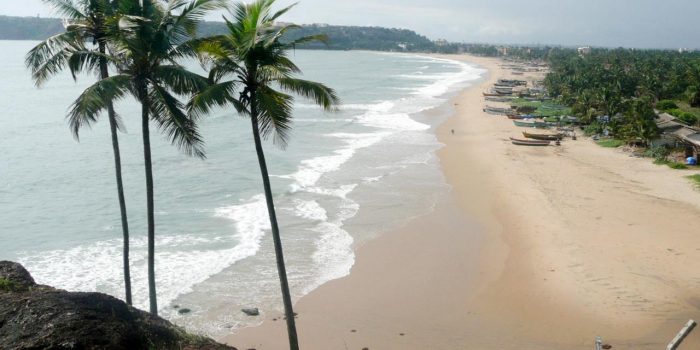 things to do in goa