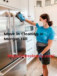 Move In Cleaning in Morgan Hill