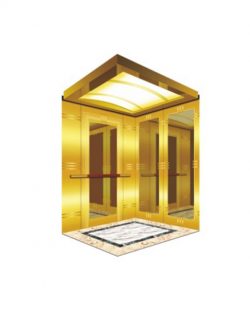 China Home Elevator Factory Introduces The Service Requirements Of Small Home Elevators