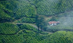 Kerala Tour: best places to visit in kerala