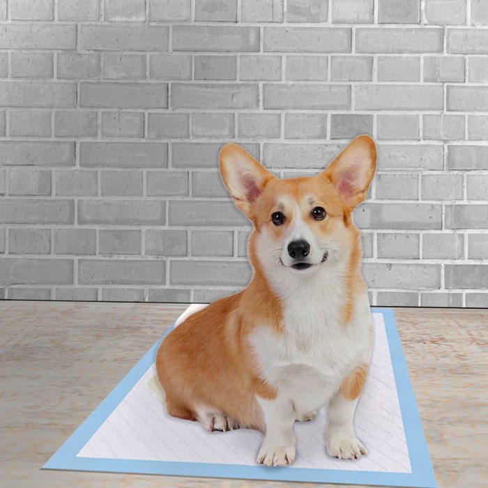 KAEN Disposable mattress Supplier PET PADS