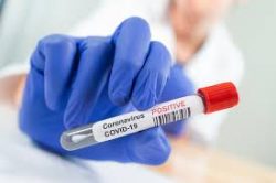 Coronavirus Results Immediately UK