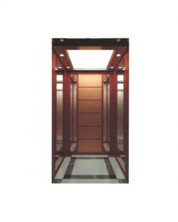 China Home Elevator Manufacturer Introduces What Is Elevator Speed Limiter