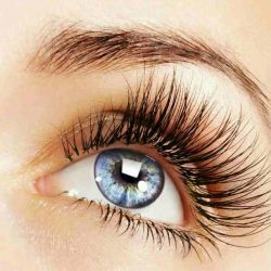 What are the doll eyelash extensions？