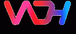 Seo Services Primelis