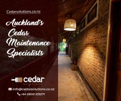 Say no to unattractive Cedar and choose our Weatherboard maintenance services