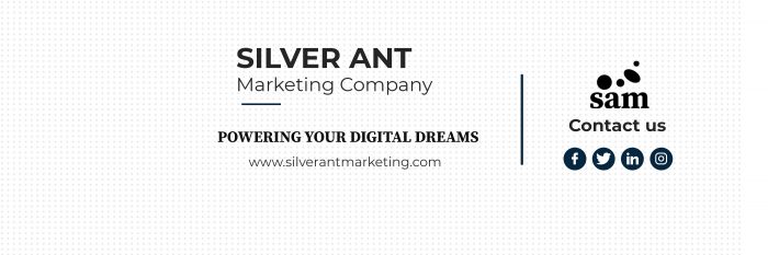 SEO Services Company in California – Silver Ant Marketing