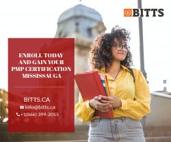 You will develop the knowledge and skills with Information Technology Diploma Brampton