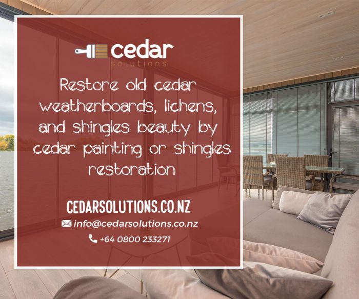 Are you looking for reliable and highly affordable Cedar painting services in Auckland