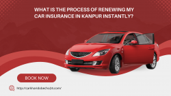 Best Process Of Renewing My Car Insurance