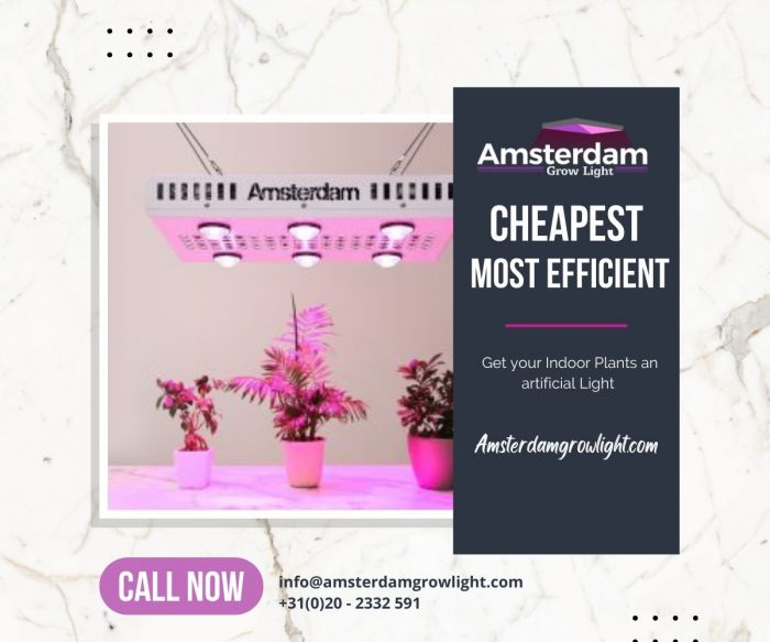 The most affordable full spectrum led grow lights for seedlings by Amsterdam Grow Light