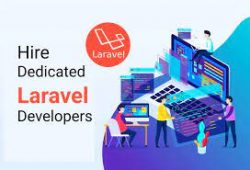 hire expert laravel developer