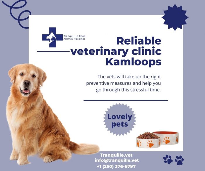 You can also contact our expert vets for Dog soft tissue injury treatment