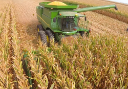 Why Combine Is Best Tool To Harvest Corn?