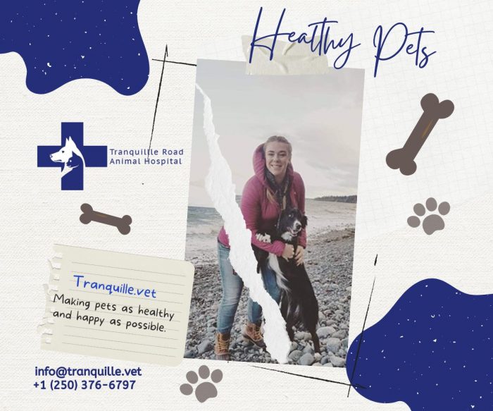 We Provide the best dog dental care kamloops