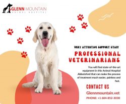Emergency Vet In Abbotsford is available to help your pets