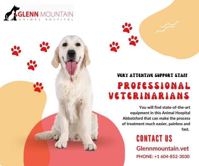 Emergency Vet In Abbotsford is available to help your pets