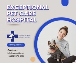 Book an appointment at the most comprehensive Kamloops Veterinary Clinic