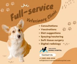 We provide surrounding communities with Soft Tissue Surgery Kamloops