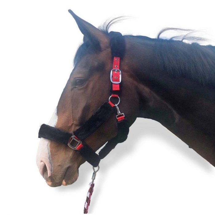 Lederhalfter für Pferde – Lederhalfter für Pferde online kaufen