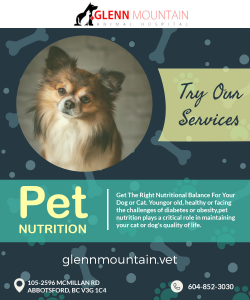 Are you looking for a local Vet in Abbotsford? Call us for more information