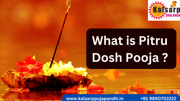 What is Pitru Dosh Pooja | KalSarp Puja Pandit