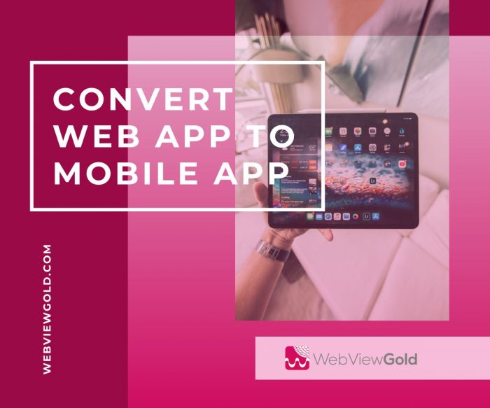 The fastest and most affordable way to Turn Web App Into Mobile App